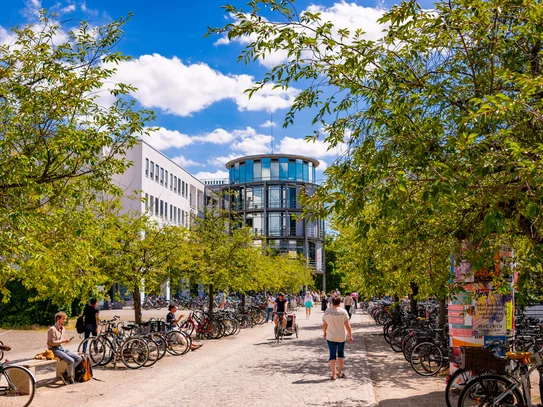 Blick auf die Zentralbibliothek im Sommer