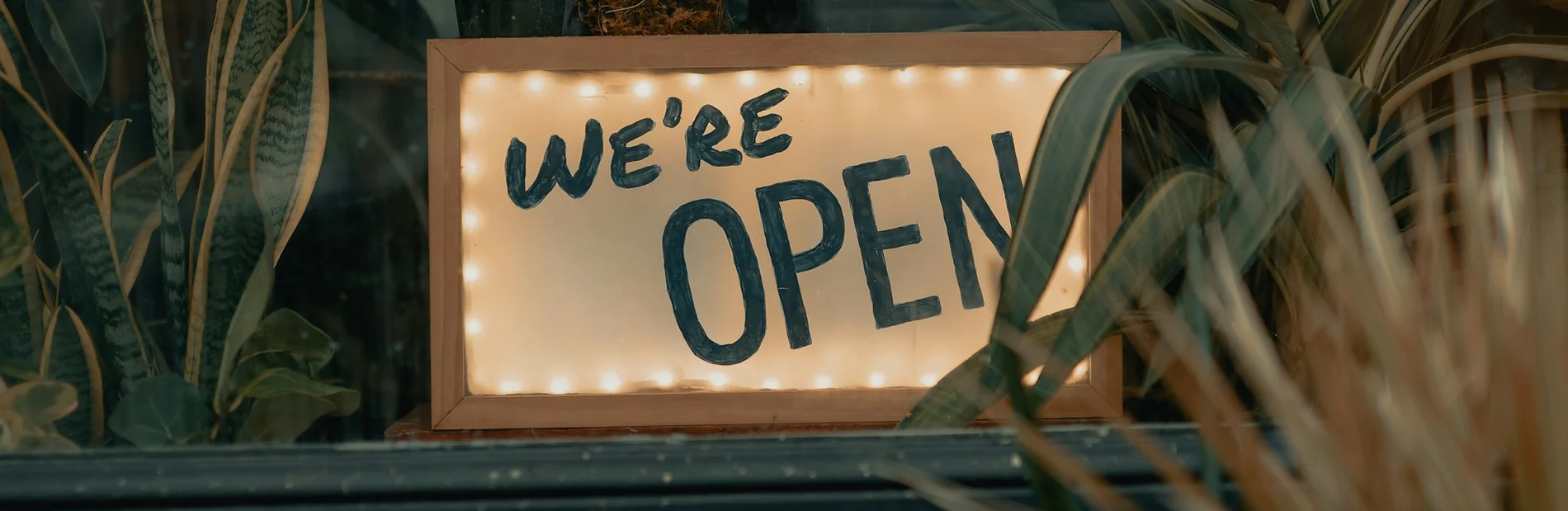 Beleuchtetes Schilf mit der Aufschrift "We're open", das in einem mit Pflanzen dekorierten Fenster steht.