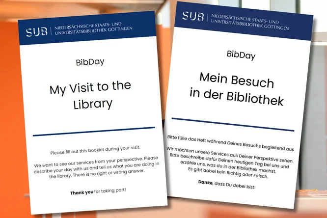 Diary books for a UX study